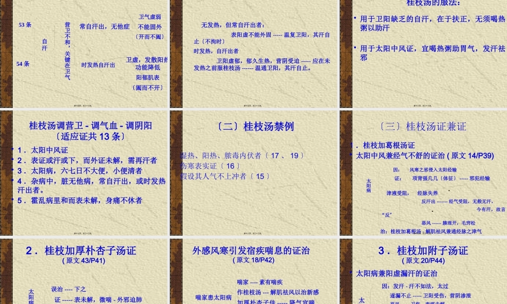 5-太阳病本证-中风表虚证.pptx