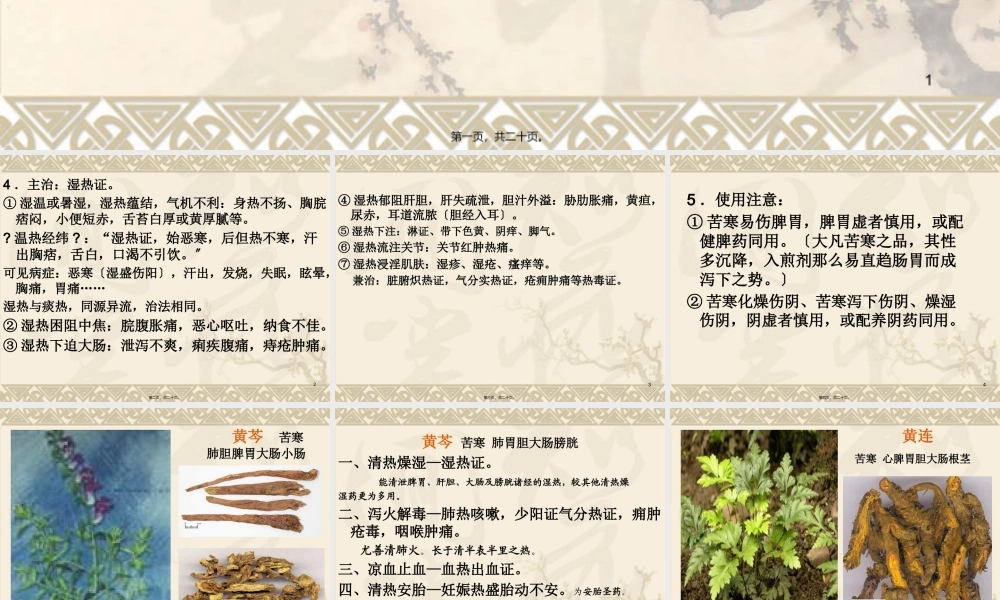 5-清热燥湿药.pptx