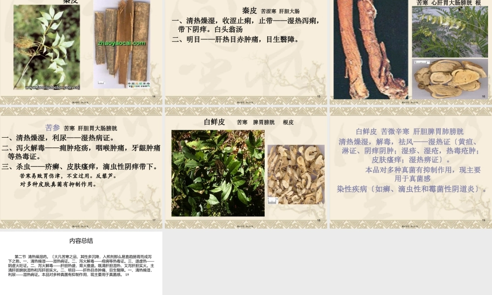 5-清热燥湿药.pptx