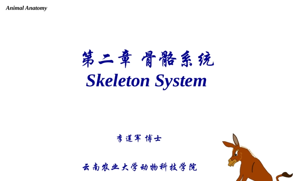5-骨骼-四肢.pptx