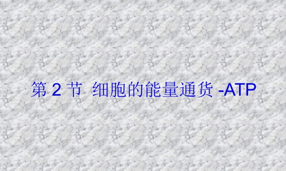 5.2-细胞的能量“通货”——ATP.pptx