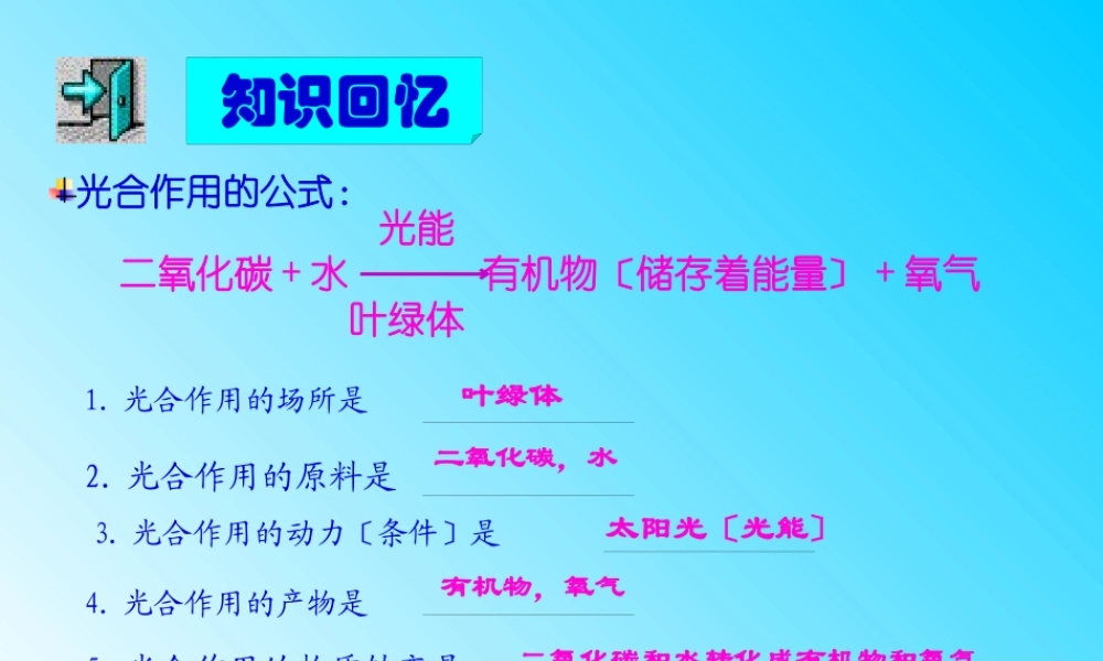 5.2呼吸作用消耗氧气释放二氧化碳.pptx