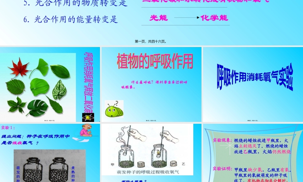 5.2呼吸作用消耗氧气释放二氧化碳.pptx