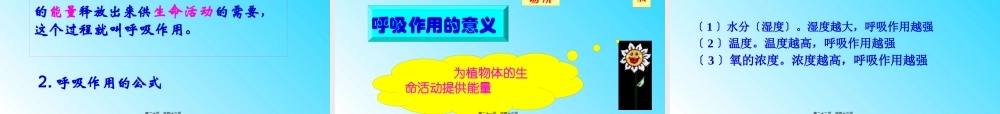 5.2呼吸作用消耗氧气释放二氧化碳.pptx