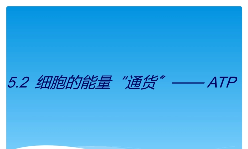 5.2细胞的能量通货——ATP.ppt