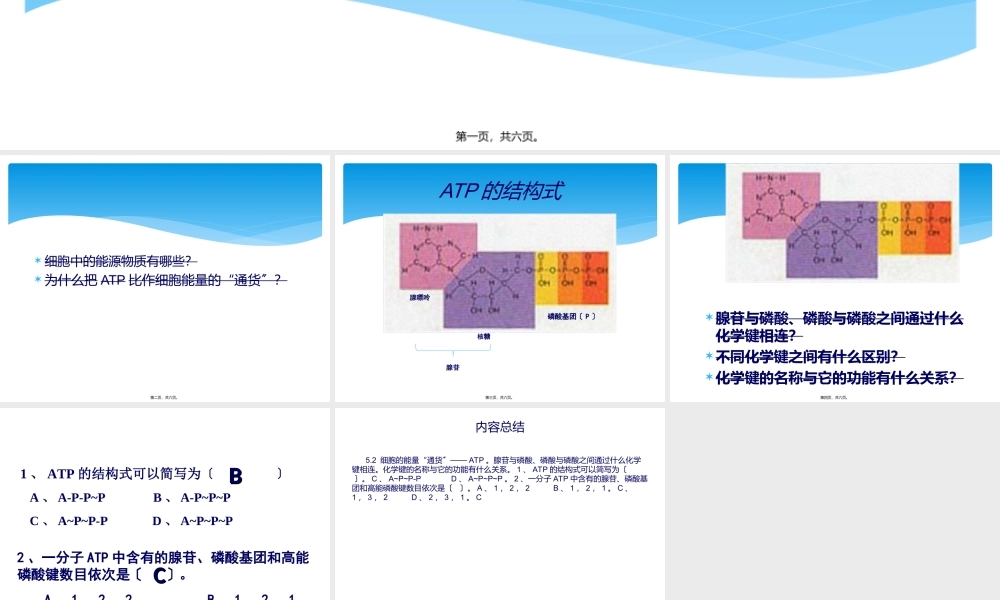 5.2细胞的能量通货——ATP.ppt