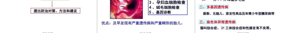 5.3-人类遗传病汇总.pptx