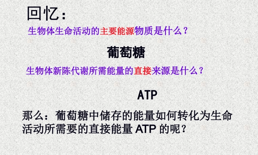 5.3ATP的主要来源──细胞呼吸(用)概述.pptx