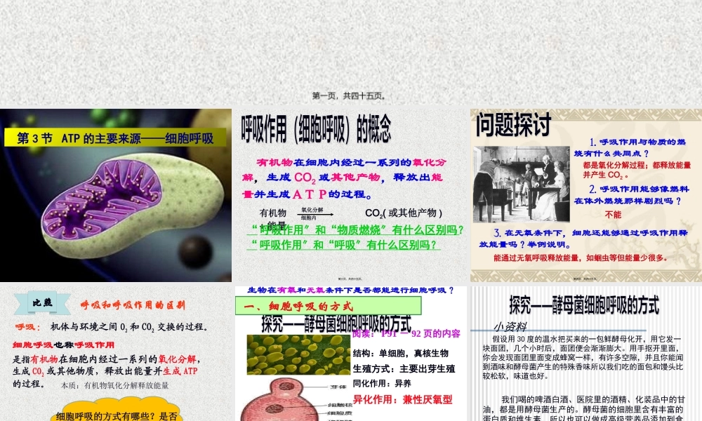 5.3ATP的主要来源──细胞呼吸(用)概述.pptx