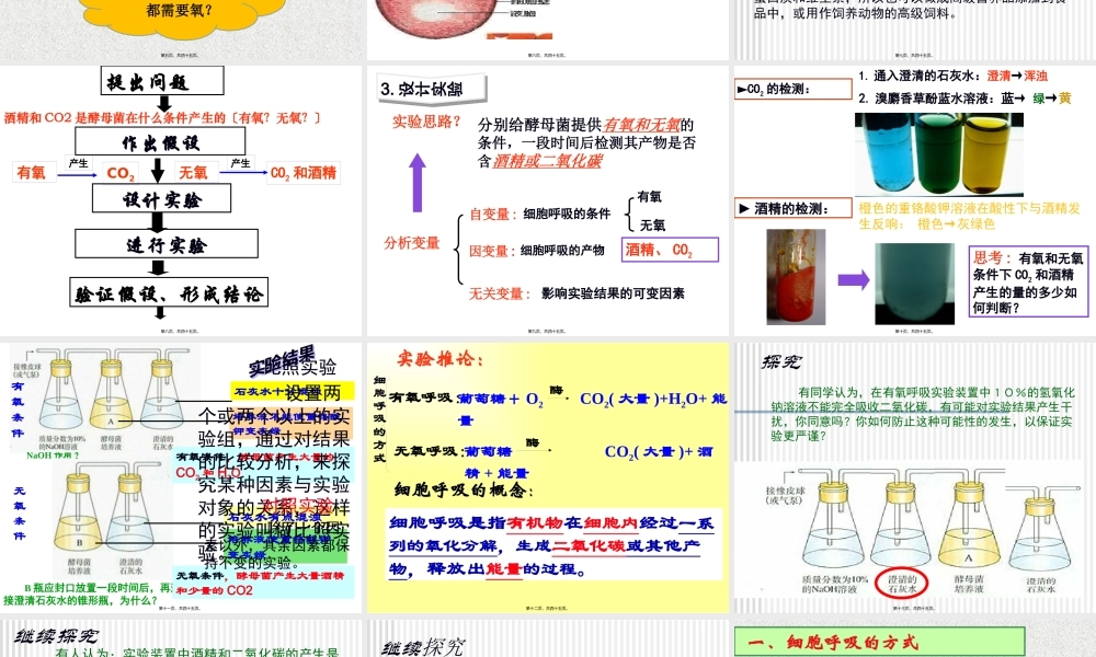 5.3ATP的主要来源──细胞呼吸(用)概述.pptx