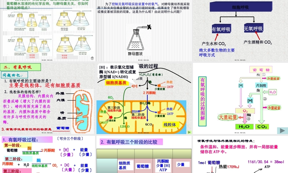 5.3ATP的主要来源──细胞呼吸(用)概述.pptx