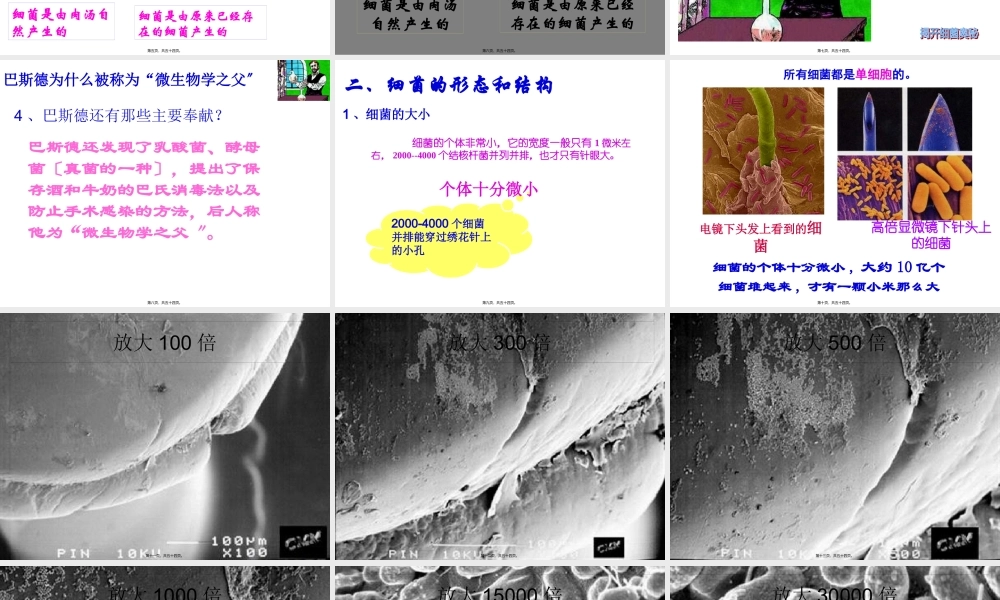 5.4.3细菌.pptx