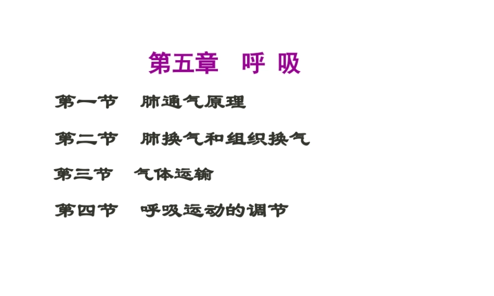 5.第五章-呼吸.pptx