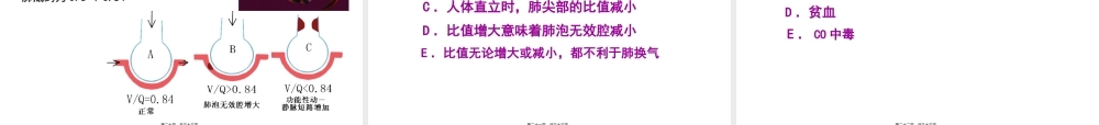 5.第五章-呼吸.pptx