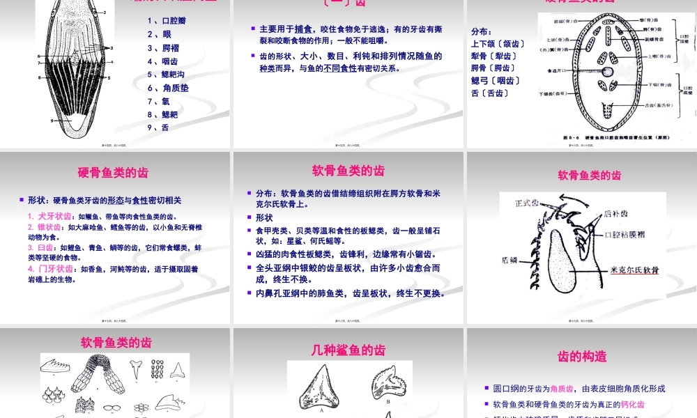 5.消化系统.pptx