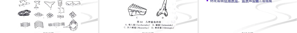 5.消化系统.pptx
