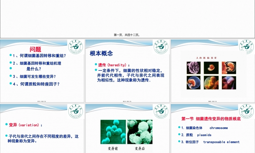 5.细菌的遗传与变异.pptx