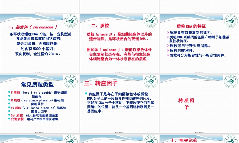 5.细菌的遗传与变异.pptx