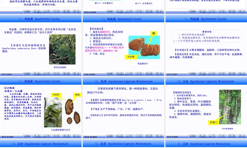 5.茎木类药材.pptx