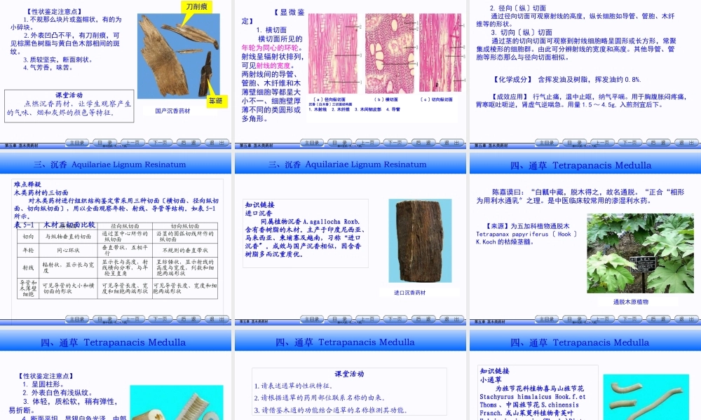 5.茎木类药材.pptx