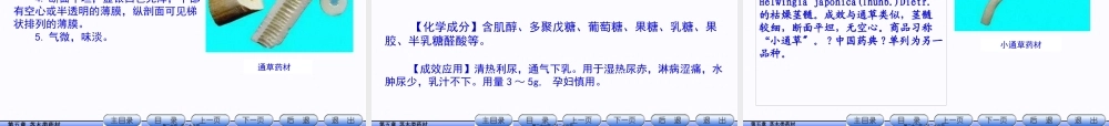 5.茎木类药材.pptx