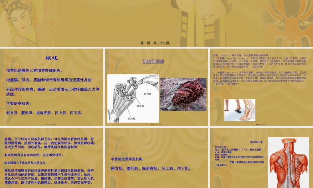 5.项背部疼痛及手法.pptx