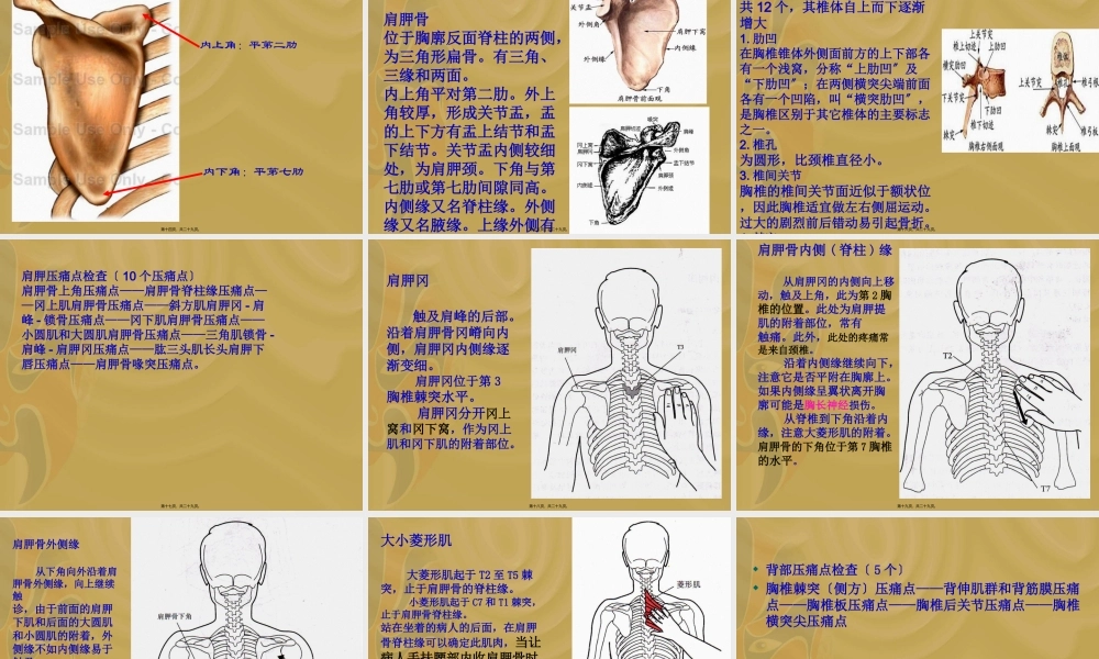 5.项背部疼痛及手法.pptx