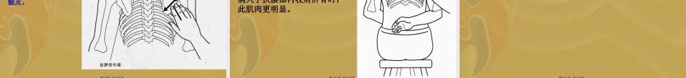 5.项背部疼痛及手法.pptx