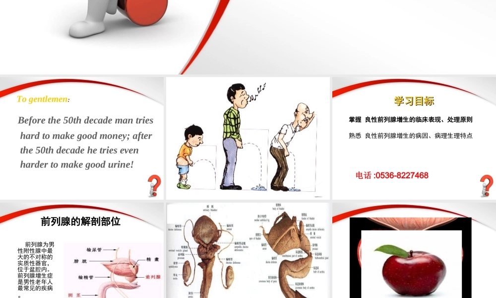 55男科-前列腺PPT(1).ppt