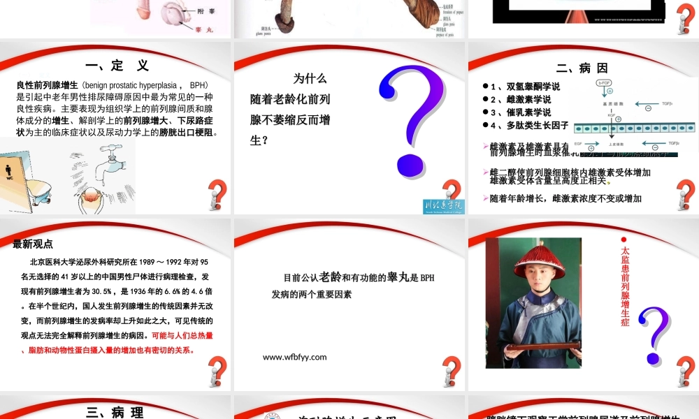 55男科-前列腺PPT(1).ppt