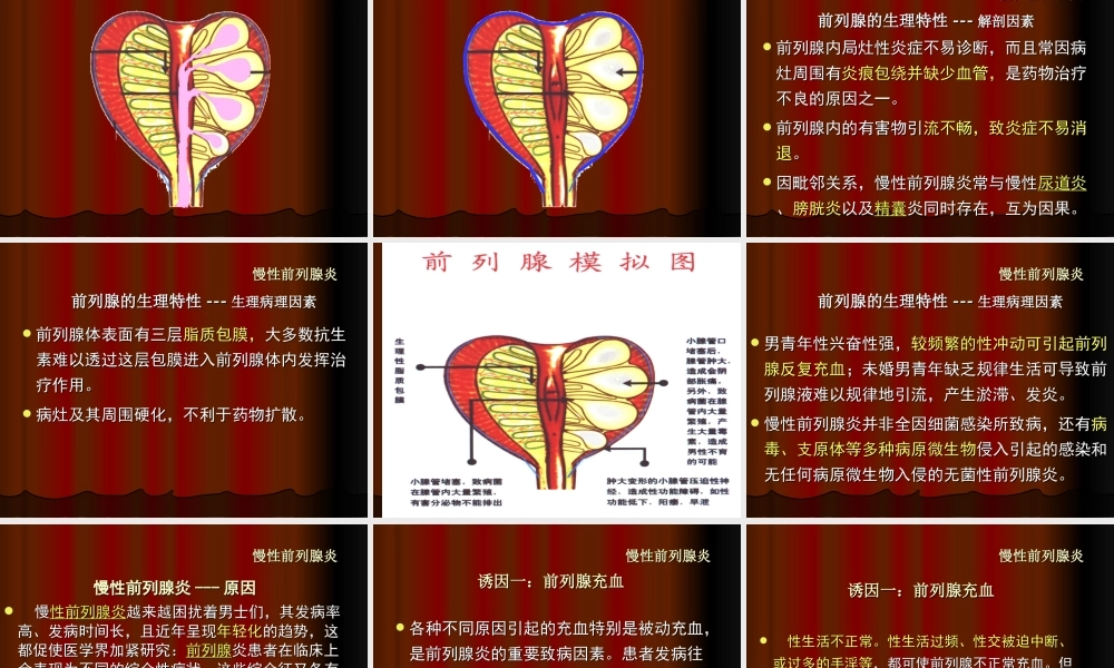 54男科-慢性前列腺(1).ppt