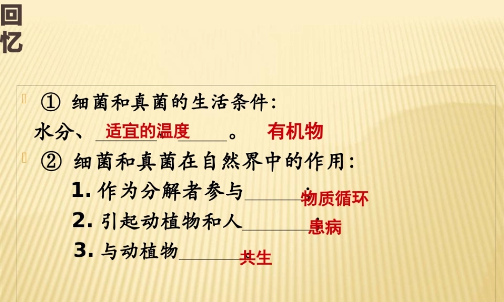 5、4、5人类对细菌和真菌的利用.pptx