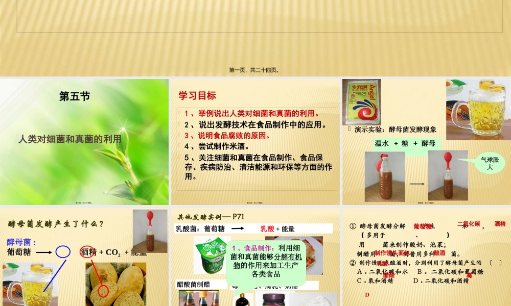 5、4、5人类对细菌和真菌的利用.pptx
