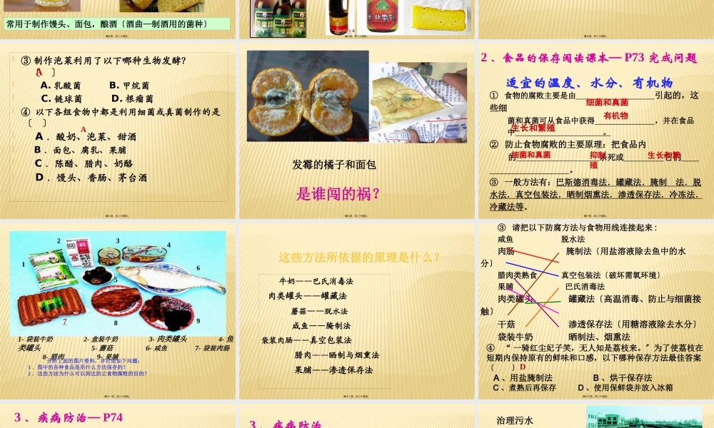 5、4、5人类对细菌和真菌的利用.pptx