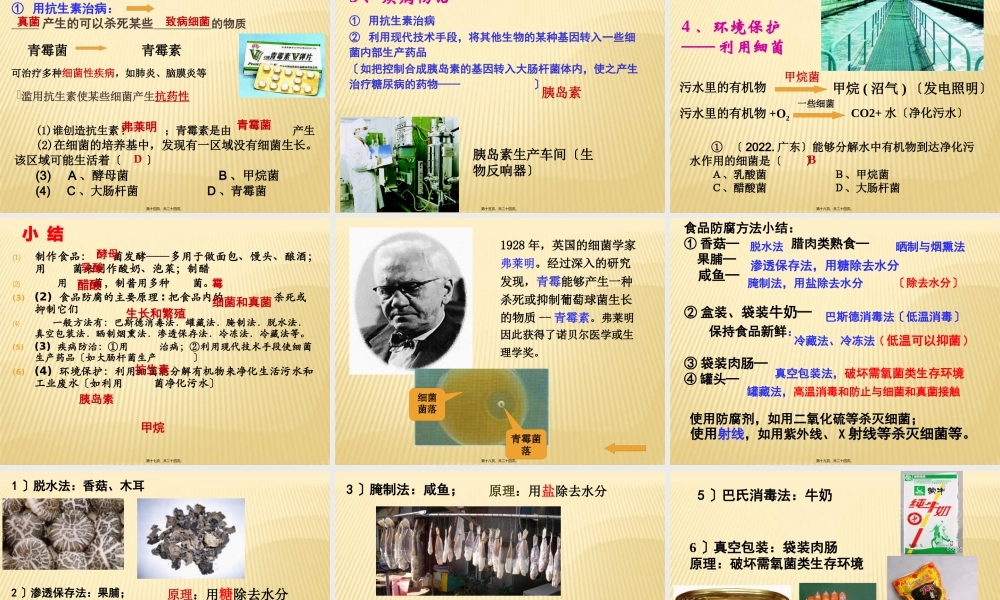 5、4、5人类对细菌和真菌的利用.pptx