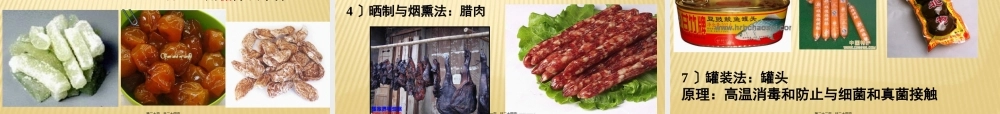 5、4、5人类对细菌和真菌的利用.pptx