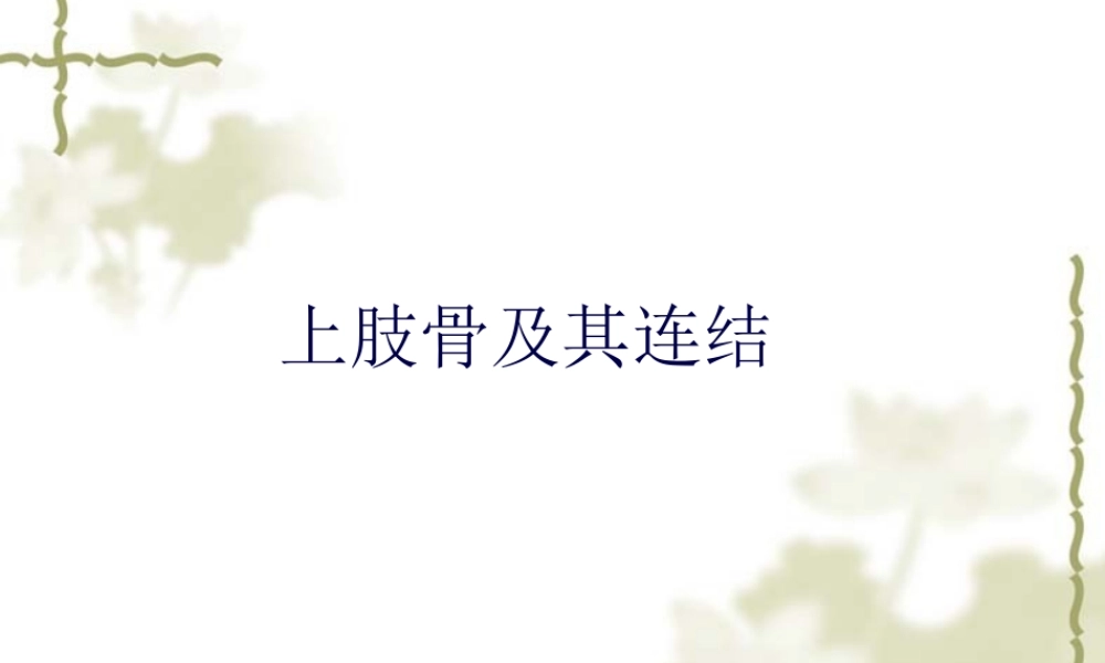 5上肢骨及其连结、下肢骨及其连结.pptx