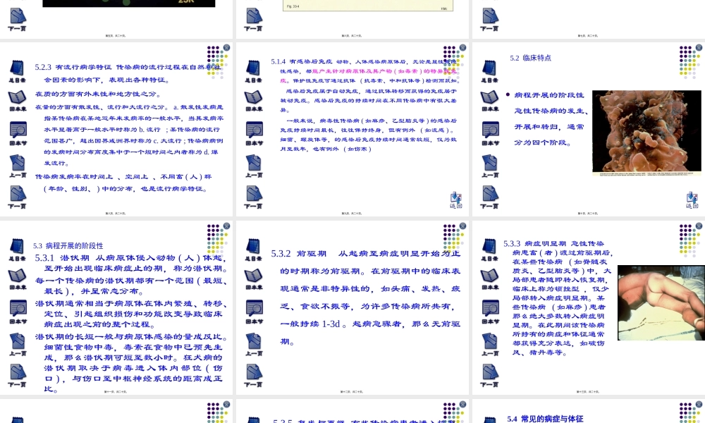 5传染病的特征讲解.pptx
