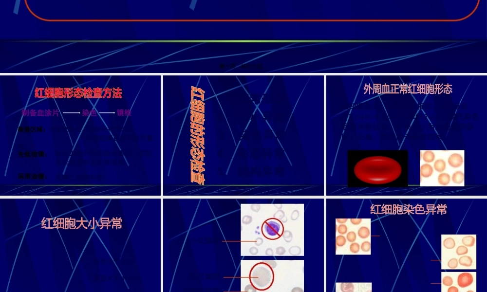 5红细胞形态、压积、网红.pptx