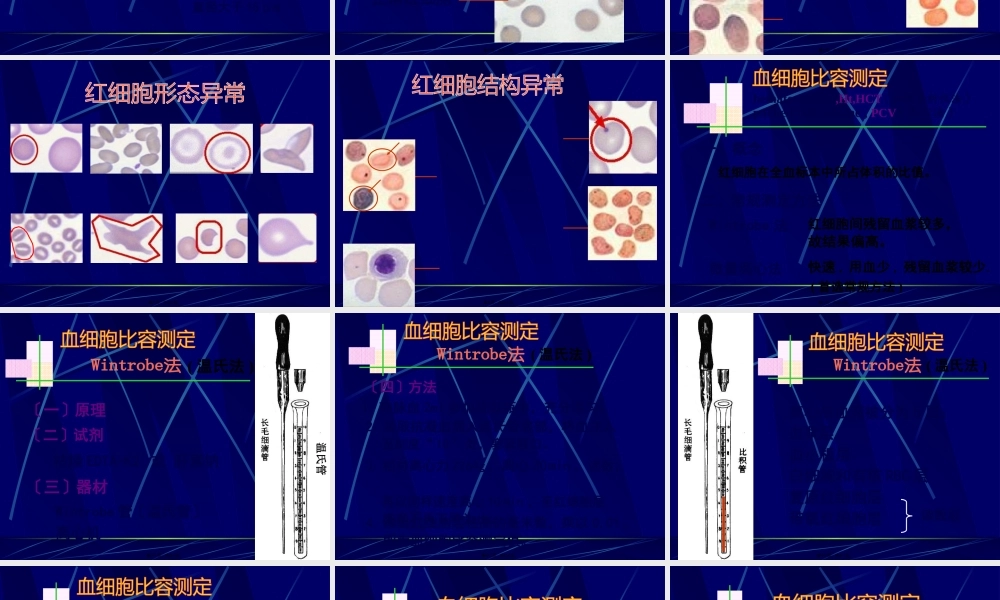 5红细胞形态、压积、网红.pptx