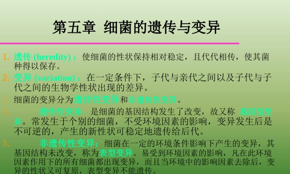 5细菌的遗传与变异.pptx