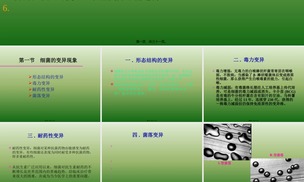 5细菌的遗传与变异.pptx