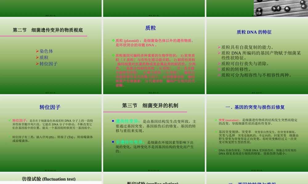 5细菌的遗传与变异.pptx