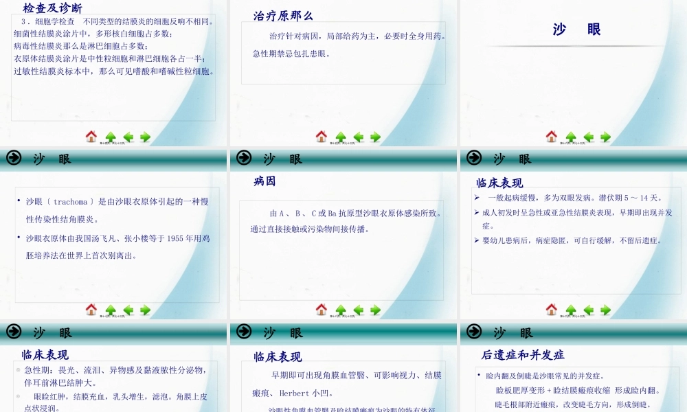5第五节-结膜病.pptx