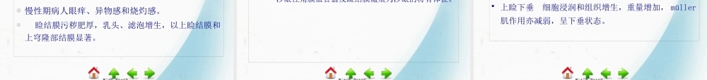 5第五节-结膜病.pptx