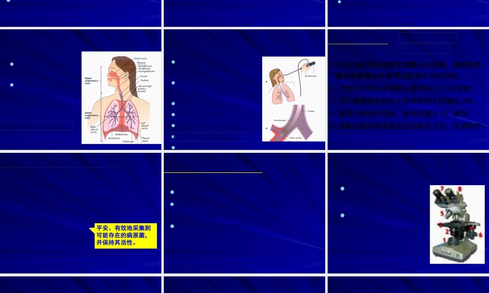 5细菌感染的检查与防治.pptx