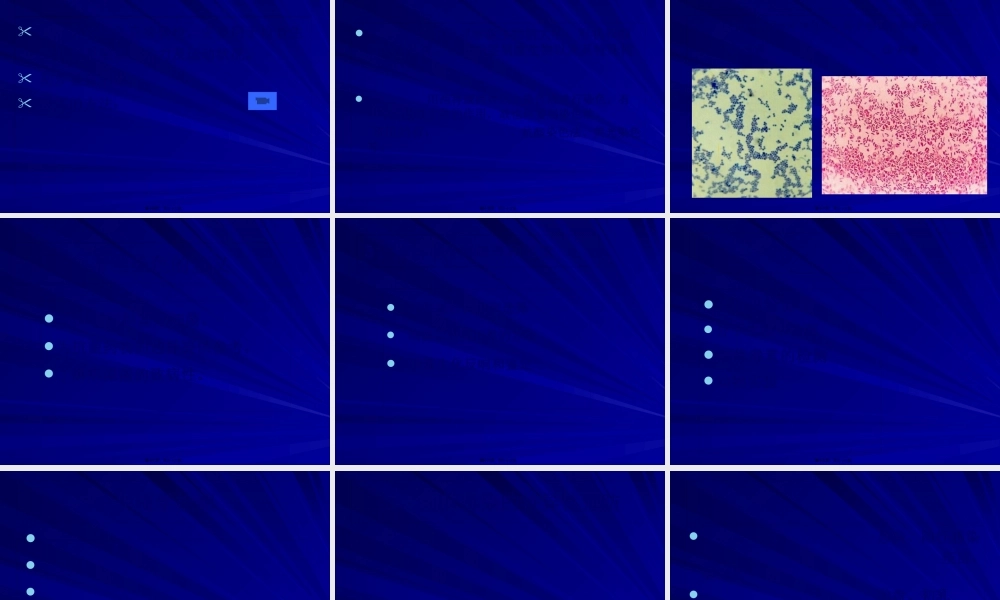 5细菌感染的检查与防治.pptx