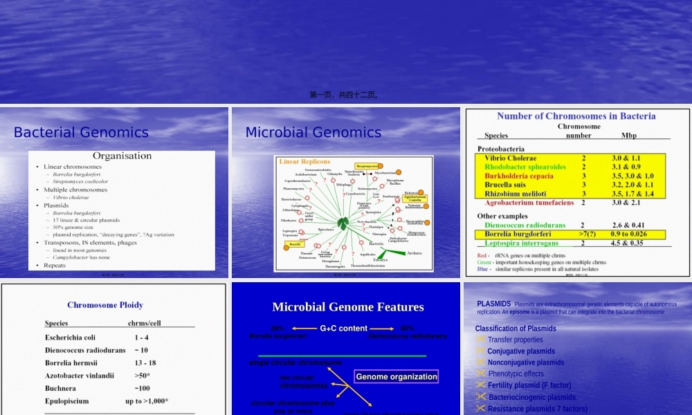 5细菌的遗传和变异e.pptx