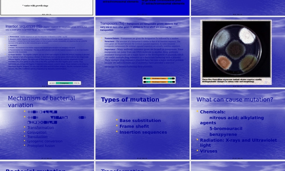 5细菌的遗传和变异e.pptx