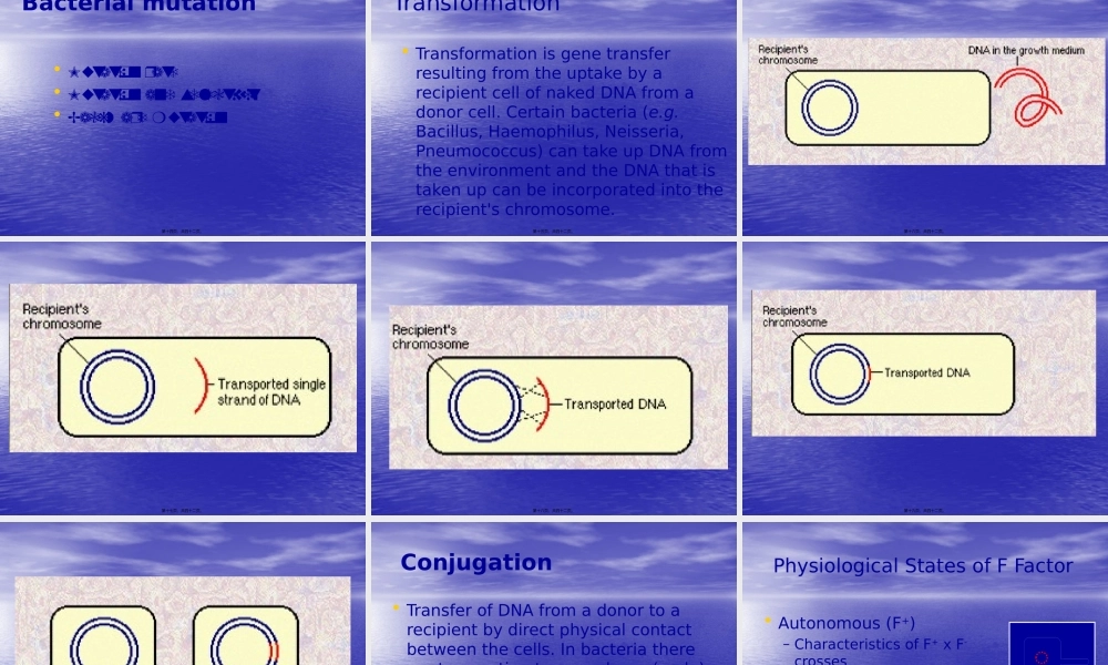 5细菌的遗传和变异e.pptx